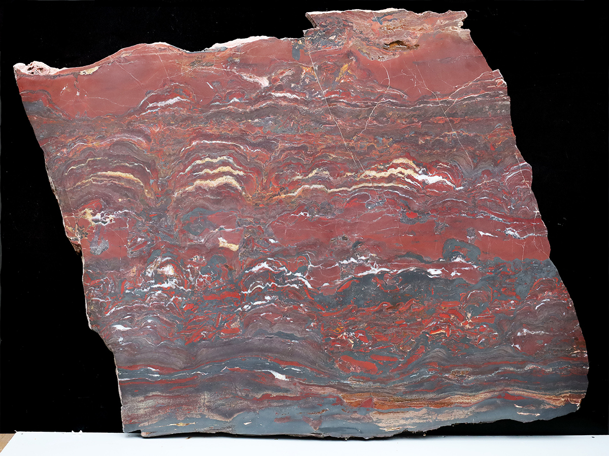 Stromatolithenplatte aus Minnesota