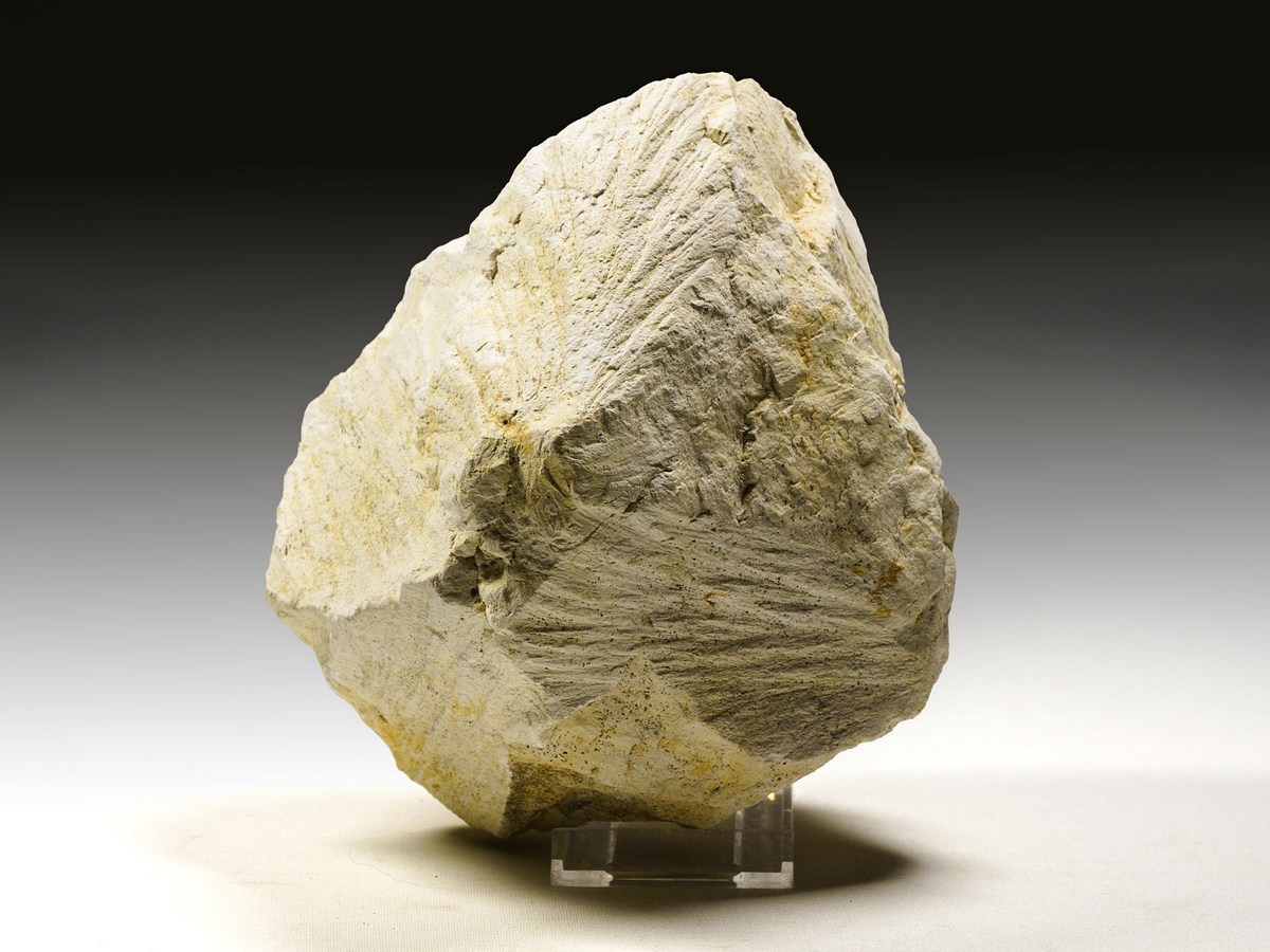 Strahlenkalk aus dem Steinheimer Becken, Shatter Cone