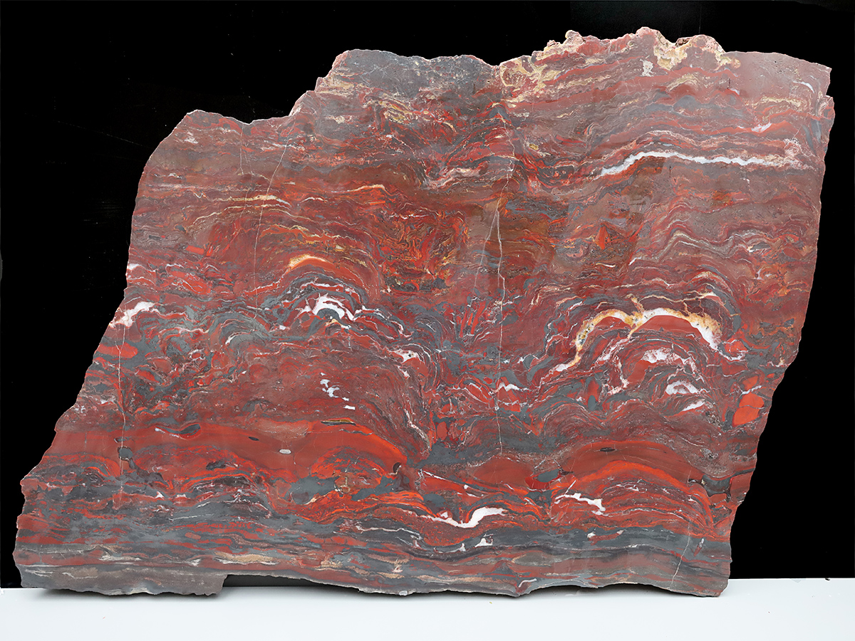 Stromatolithenplatte aus Minnesota-Copy