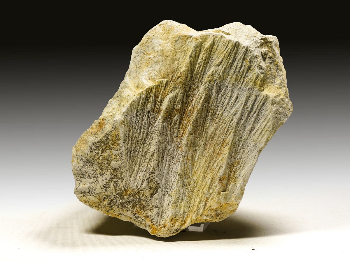 Strahlenkalk aus dem Steinheimer Becken, Shatter Cone